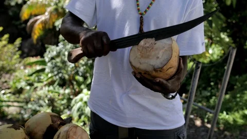 Opening of a drinking coconut Stock Footage 103112039
