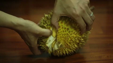 Opening a durian fruit. Stock Footage
