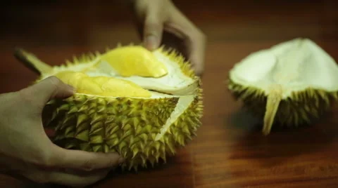 Opening a durian fruit. Stock Footage 55710249