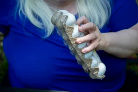 Opening Easter Eggs Stock Photos