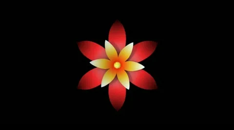 Opening Flowers Stock Footage 11148902