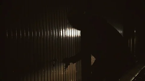 Opening garage box at night Stock Footage 82893836