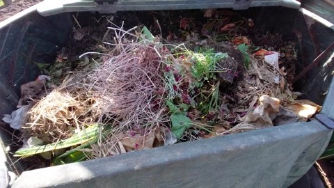 Opening a garden compost bin and adding organic food waste Stock Footage 333644144