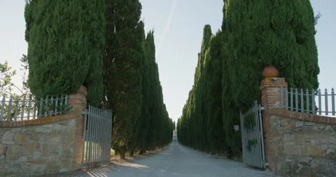 Opening gate to cypress lined driveway in Tuscany Italy Stock Footage 340588016