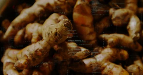 Opening on ginger root, camera panning across mound, code overlays fading to Stock Footage 314660972