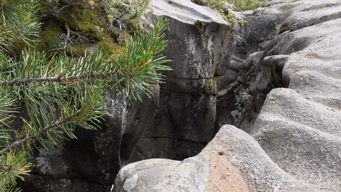 Opening to granite cave.  Moss and small pine trees grow along the edge. Stock Footage 117581074