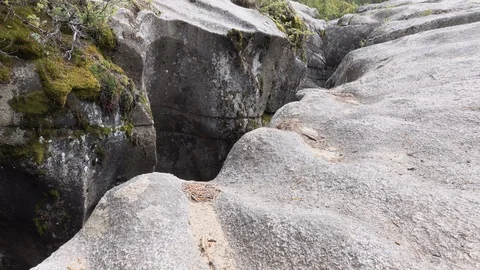 Opening to granite cave.  Moss and small pine trees grow along the edge Stock Footage 117583868