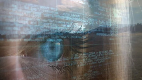 Opening grassy plain initiating merging with female eye while code overlay Stock Footage 311585274
