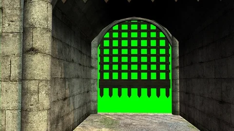 Opening the gratings of a castle. Stock Footage
