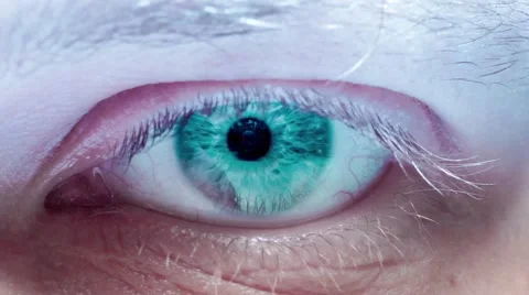 Opening green eye Video stock 51001088