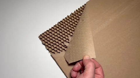 Opening honeycomb cardboard Video stock 305314699