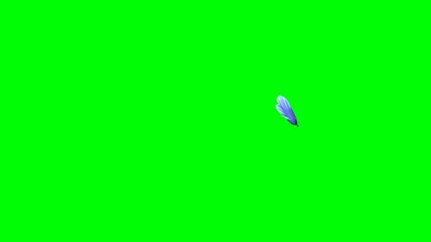 Opening long blooming blue flower time-lapse 3d animation isolated on chroma key Stock Footage 88698199