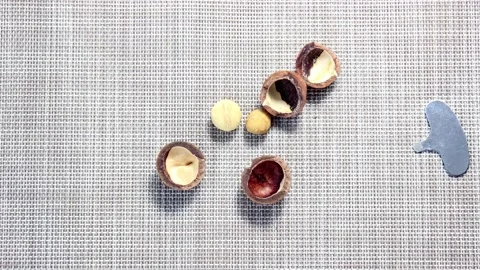 Opening the Macadamia nuts with a metal key. Superfood. Video stock 152970864