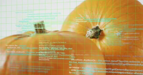 Opening on orange pumpkin grid fading code scrolling panning showcasing second 스톡 동영상 317841103