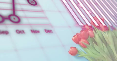 Opening on pale blue grid displaying code fading red tulips pulsing rings Stock Footage 317835498