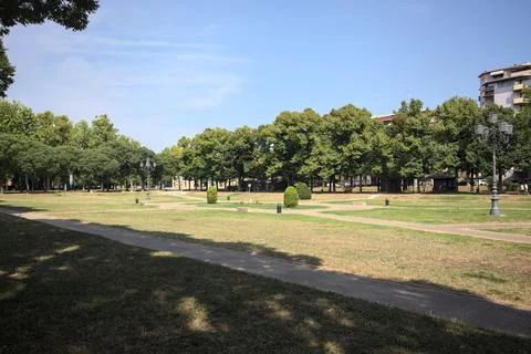 Opening in a park Stock Photos