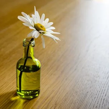 Opening up Stock Photos