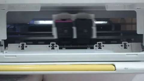Opening the printer door to replace the cartridge Stock Footage 202433419