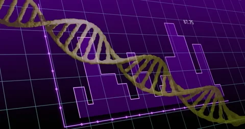 Opening purple grid 3D DNA helix scanning shifting colors aligning bar heights Stock Footage 314790401