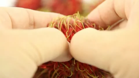 Opening the Rambutan Stock Footage 11084228
