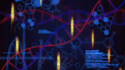 Opening red double helix curving in triggers gold bars and code animating to Stock Footage 315891927