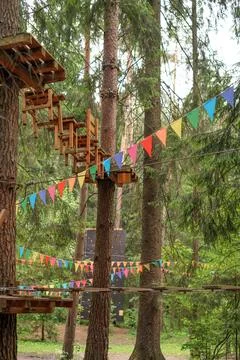 Opening of Rope park, complex of obstacles suspended at height Stock Photos