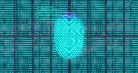 Opening scene showing two-tone fingerprint icon, teal code columns refreshing Stock Footage 309682532