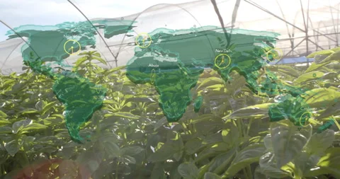 Opening sequence showing plants growing in greenhouse while holographic world Vídeos de archivo 314735132