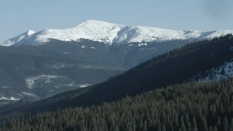 Opening Shot Tilt Up Forest to Mountains Stock Footage 86701233