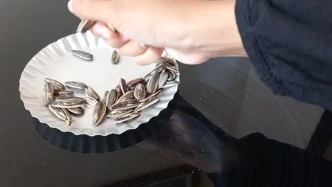 Opening sunflower seeds  with a single hand Stock Footage 145561237