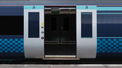 Opening Train Doors Stock Footage 317192831