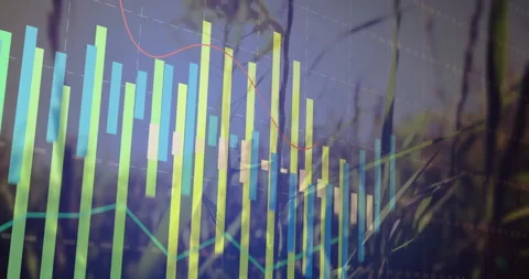 Opening with transparent bar chart over grass as bars rising and red green lines Stock Footage 311948439