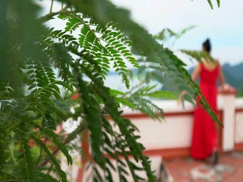 The opening type of a bay from height of the observation deck. The woman in a Stock Footage 85085249