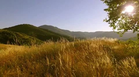 Opening view Stock Footage 64086169