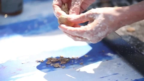 Opening walnuts with both hands Stock Footage 133749186