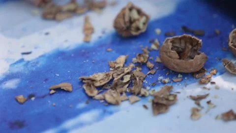 Opening walnuts with both hands Video stock 133749187