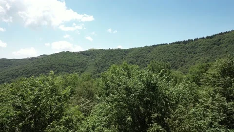 Opening, wide, drone shot of forest area Stock Footage 197387987