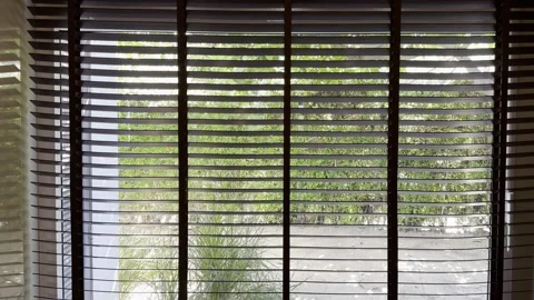 Opening Window Blinds Natural Light Green Garden  View Indoor 4K HDR Lifestyle Stock Footage 335698162
