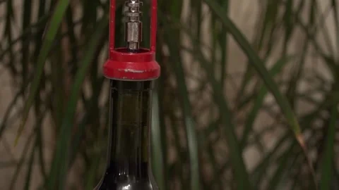 Opening a Wine Bottle With a Corkscrew Stock Footage 239738675