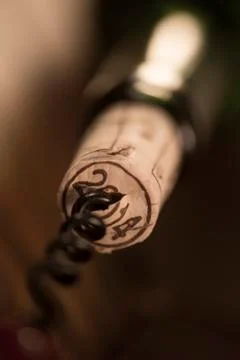 Opening a wine bottle with corkscrew, white background Stock Photos