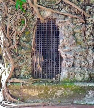 Opening with wire rack with roots in Lin family mansion and garden Stock Photos