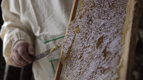 Opens with a knife honeycomb with honey on the frame from the hive. Slow mo Stockbeeldmateriaal 165248898