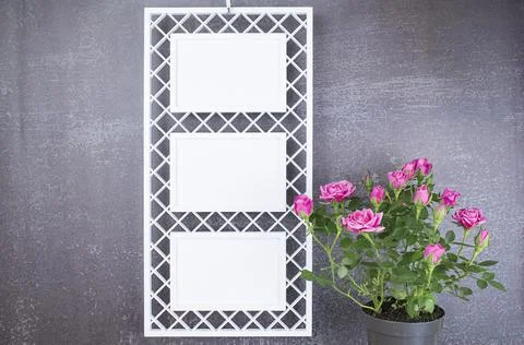Openwork frame with 3 windows and a bouquet of roses on a dark background for Foto stock