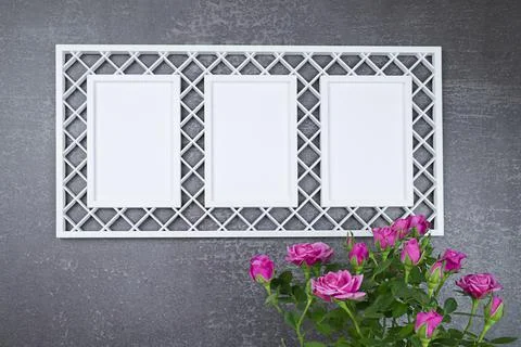 Openwork frame with 3 windows and a bouquet of roses on a dark background for Stock Photos