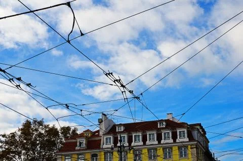 Openwork pattern from the tramway wires above the city. Stock Photos