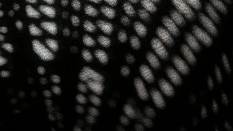 Openwork shadows Stock Footage 171146961