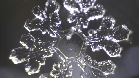 Openwork shiny sparkling snowflake melts under the microscope Stock Footage 86562865