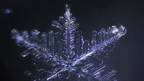 Openwork transparent shiny snowflake melts Stock Footage 88451043