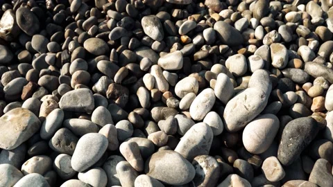 Opera Beach in Nice Video stock 200001387