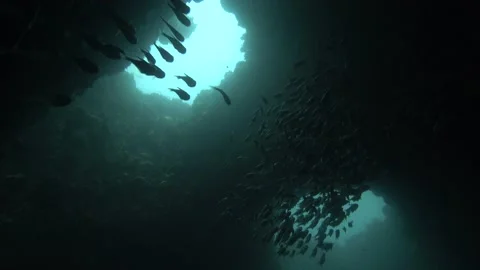 Opera House Cave 1 Stock Footage 133413978